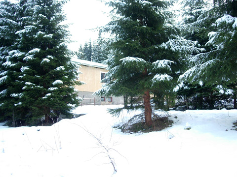 Foto 52